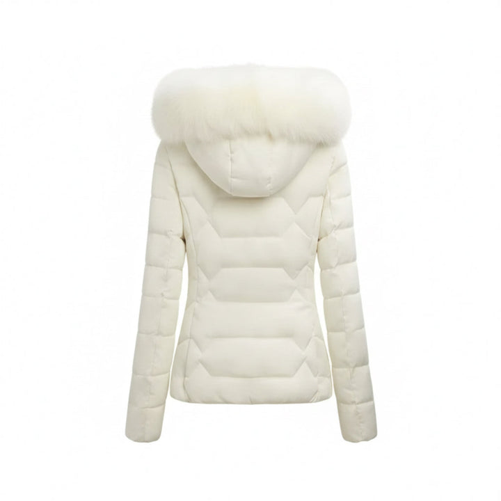 EverWarm Classic Winter Jacket
